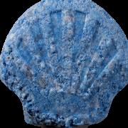 Shell sample 12963