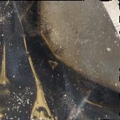 Fentanyl / Cocaine sample 13072