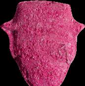 Heisenberg sample 13131