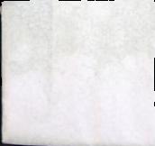 Fet sample 13317