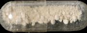 4-FA sample 13326