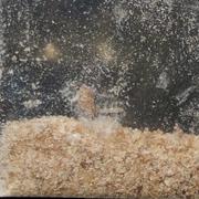 Brown Dusty Molly sample 13365