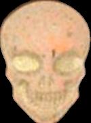 Skull sample 13377