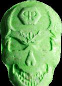 Skull sample 13380