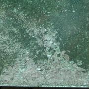 Champagne Molly sample 13385
