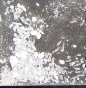 Needles sample 13499