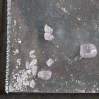 Purple M sample 13544