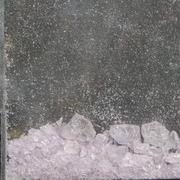 Light Purple Molly sample 13624