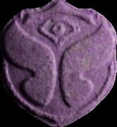 Tomorrowland sample 13691
