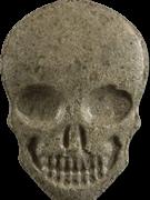 MyBrand Skull sample 13732