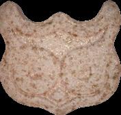 Eule / Panama sample 13757