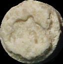 Dolphin sample 1382