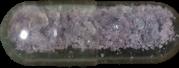 Amethyst sample 13833