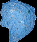 Pegasus sample 13956