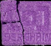 Berghain sample 13975