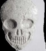 MyBrand Skull sample 14035