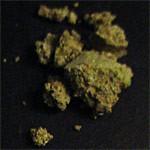 Green Meanie sample 1404