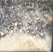 Guardsman LSD sample 14053