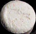 Alligator sample 1415