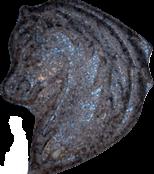 Pegasus sample 14188