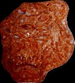Tiger sample 14189