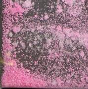 Tusi sample 14220