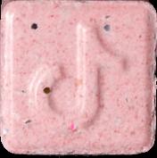 Pink Tiktok sample 14279