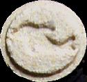 Dolphin sample 1439