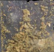 Cannabis sample 14400