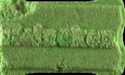 Heineken sample 14479