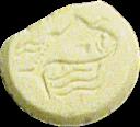 Fish sample 1457