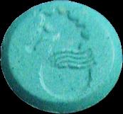 Seahorse sample 1465