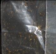 PCP pill — lab-tested sample
