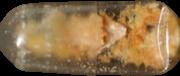 Mescaline sample 14956