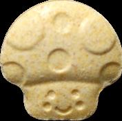 Yellow Mushroom sample 15004
