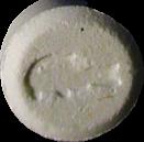 Alligator sample 1501