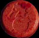 Seahorse sample 1503