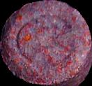 Mushroom sample 1507