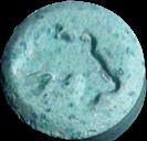 Dolphin sample 1509