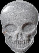 MyBrand Skull sample 15187