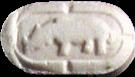 Rhino sample 1523