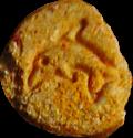 Dolphin sample 1525