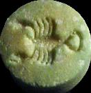Scorpion sample 1529