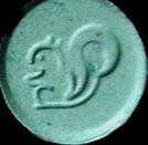 Squirrel sample 1531