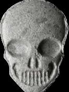 Totenkopf / MyBrand sample 15425