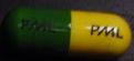PML sample 1551