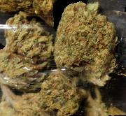 OG Cannabis sample 15528