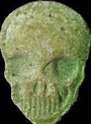 MyBrand Skull sample 15529