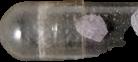 Purple Molly sample 15533