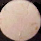 Pink Heart sample 155